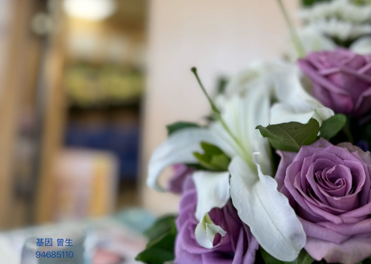 標準殯儀館出殯 無宗教套餐